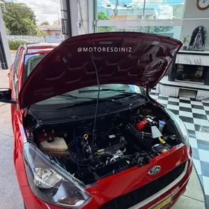 Ford Ka vermelho com o motor 1.0 de 3 cilindros retificado